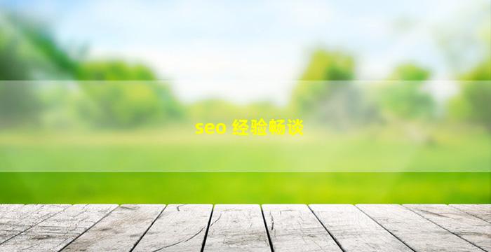 seo 经验畅谈